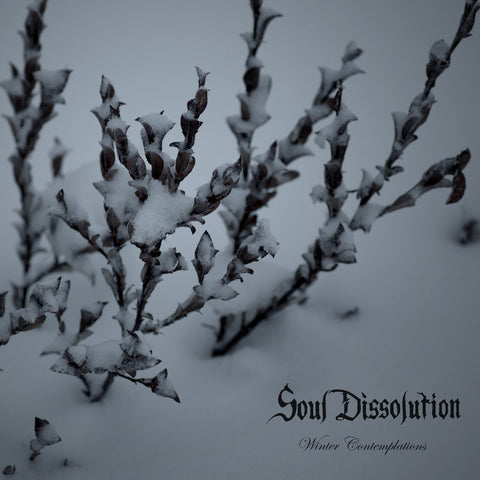 Soul Dissolution -  Winter Contemplations